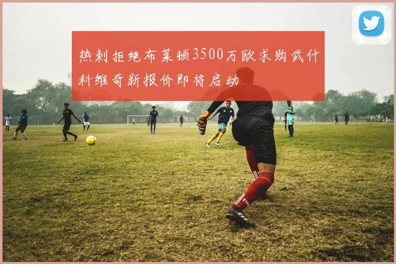 热刺拒绝布莱顿3500万欧求购武什科维奇新报价即将启动